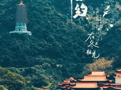 -深圳市中科院仙湖植物园