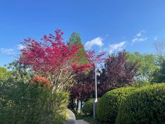 -四里河滨水生态公园