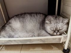 -Oasis绿洲银饰珍珠手作diy(壹方城店)