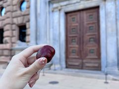 -阿尔罕布拉宫