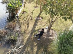 -上海长兴岛郊野公园