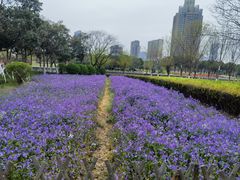 -院士公园