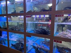 -石锅苗苗鱼(武汉首店)