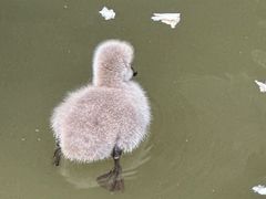 -武汉动物园