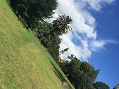 -墨尔本皇家植物园