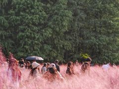 -艾溪湖湿地公园