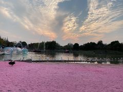 -上海杨姆庄园