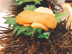-鲔屋寿喜烧