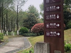 -绍兴镜湖国家城市湿地公园