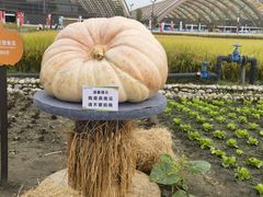 -中国天府农业博览园