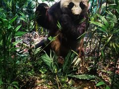 -陕西自然博物馆