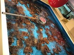 水产区-日进一片海.生腌海鲜火锅.宵夜烧烤(三里屯总店)