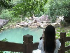 -广州白江湖森林公园