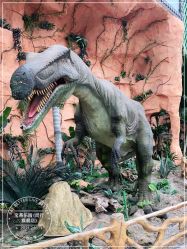 点击看大图 -宝燕乐园(闵行旗舰店)