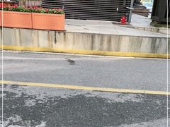 -优复医疗·骨科康复UP Clinic(陆家嘴院区)