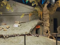 -三五九旅屯垦纪念馆