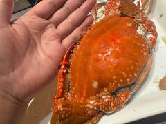 -奔海甄选·活鲜刺身铁板烧自助(太原里店)