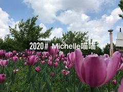 -长春公园(普阳街道)