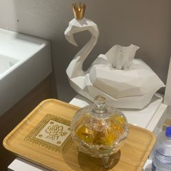 -MC皮肤管理中心