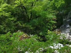 -牛背梁国家森林公园