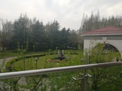 -虹桥迎宾馆·宴会厅