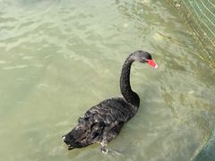 -五缘湾湿地公园