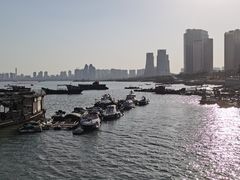 -海沧湾公园