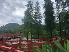 -广州市石门国家森林公园