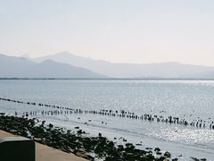 -深圳湾公园(南山区)