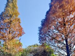 -采石矶景区