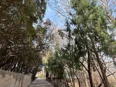 -白塔山公园