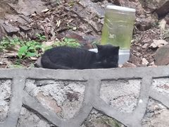 -宝通禅寺