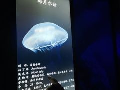 -海合安成都极地海洋公园
