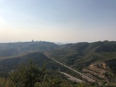 -五龙城郊森林公园