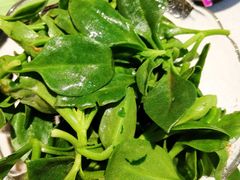 -一叶一世界·素食餐厅(锦华万达店)