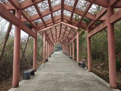 -重庆云阳龙缸景区