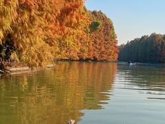 -上海海湾国家森林公园