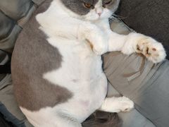 -暗楼·剧本杀·桌游