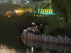 -大兴滨河森林公园