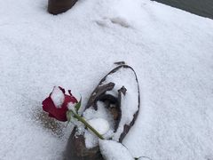 -多瑙河畔鞋履雕塑