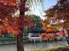 -枫桥景区