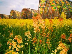 -中国天府农业博览园