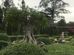 -东芭乐园