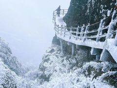 -金子山原生态旅游风景区
