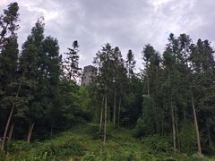-九峰山