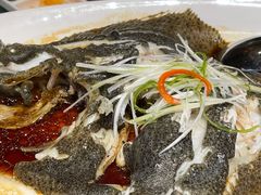 清蒸多宝鱼-沪碟·精菜坊(闵行店)