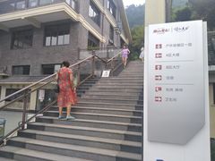 -老幺泉水鸡