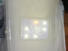 -利杨记·本味轩粥坊·烧烤(宝体店)