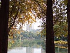 -晓港公园