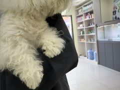 -天宠宠物医院24小时·急重症诊疗中心·全科·腔镜特色(和平分院)